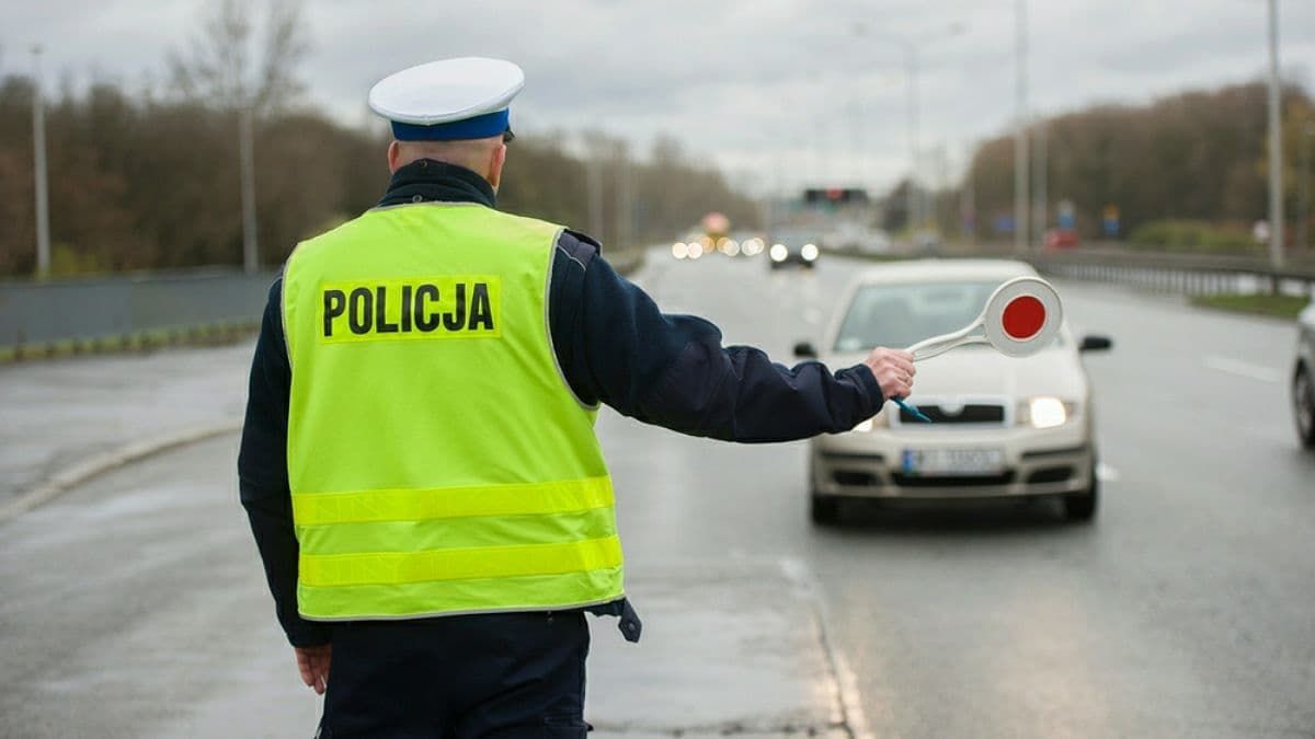 В Польше в этом году задержали более 90 украинцев за помощь нелегальным мигрантам