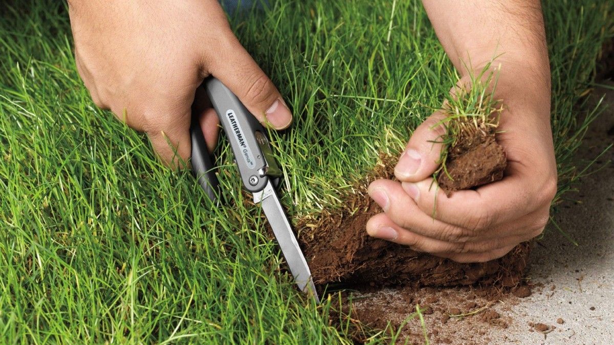 Как сохранить свой земельный участок от мошенников