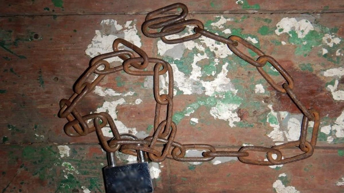 На Одещині чоловік добу сидів у теплиці, прикутий ланцюгом до стовпа: господар запідозрив його у крадіжці