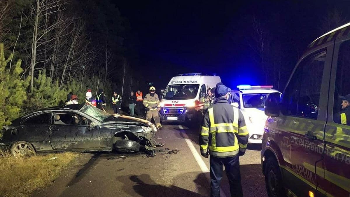 В Ровенской области лось стал виновником ДТП: столкнулись две машины, животное погибло