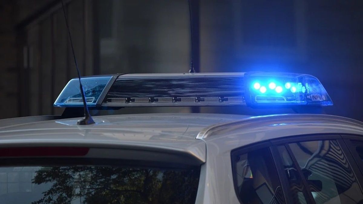 Во Франции мужчина в костюме ниндзя угнал машину и напал с мечом на полицейских: его подстрелили при задержании