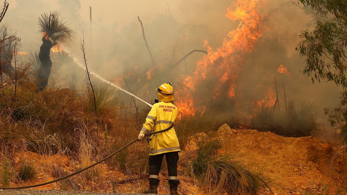 В Австралии снова вспыхнули лесные пожары, спасатели эвакуируют людей