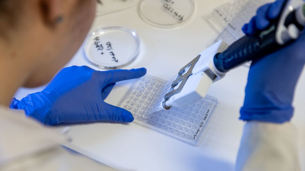 10 головних наукових проривів 2021 року за версією журналу Science