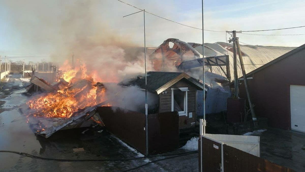 В Киевской области горит пилорама: спасатели борются с огнём несколько часов