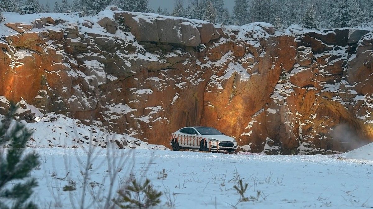 Власник Tesla вирішив не платити за ремонт 20 тисяч євро та підірвав електромобіль: відео