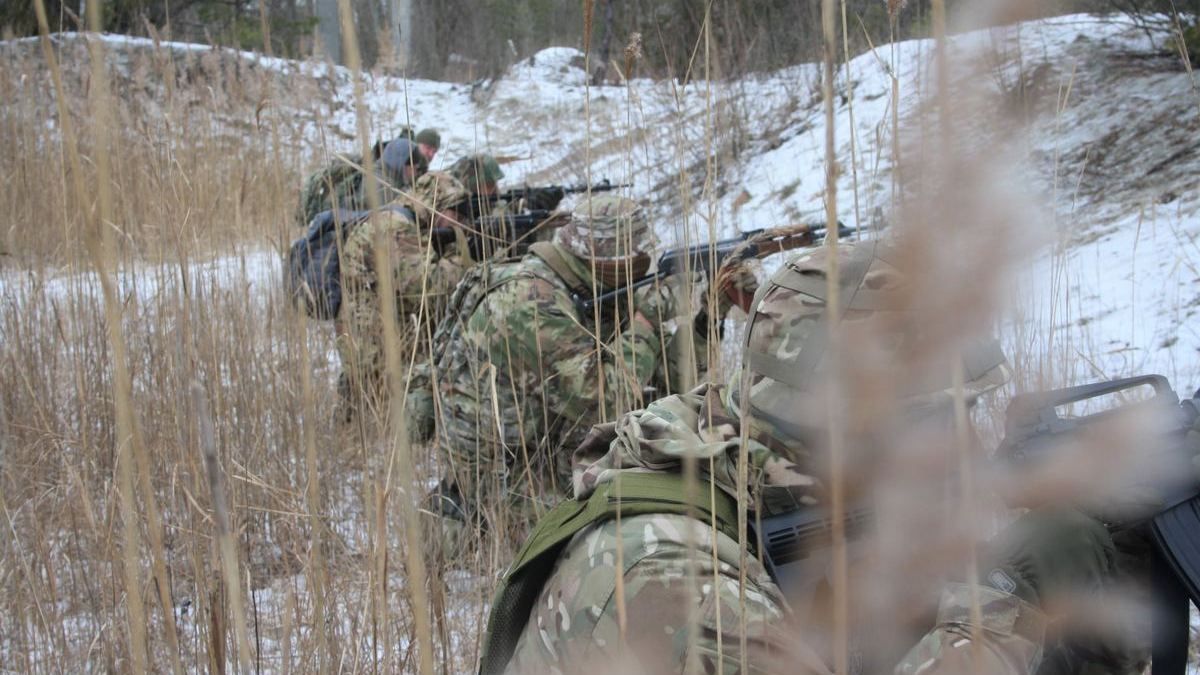 В Украине из владельцев оружия сформируют отряды добровольцев для теробороны