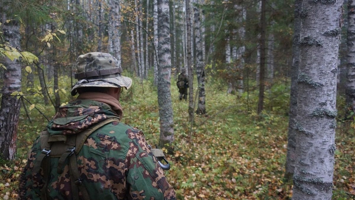 В Ровенской области людям запретили ходить в лес