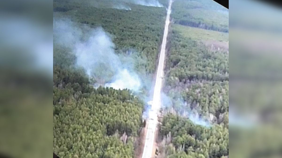 В Черниговской области ВСУ разгромили колонну орков. Те в панике начали разбегаться