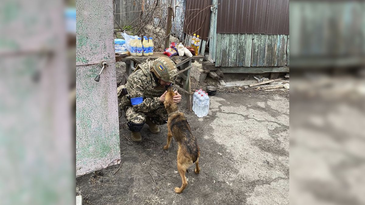 Бойцы ВСУ зачистили от рашистов ещё одно село в Харьковской области