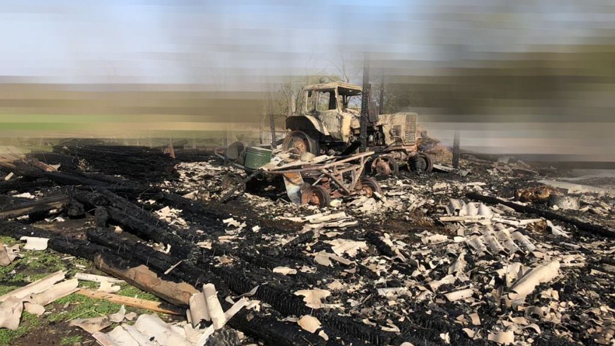 Окупанти обстріляли ферму на Полтавщині: загинув сторож