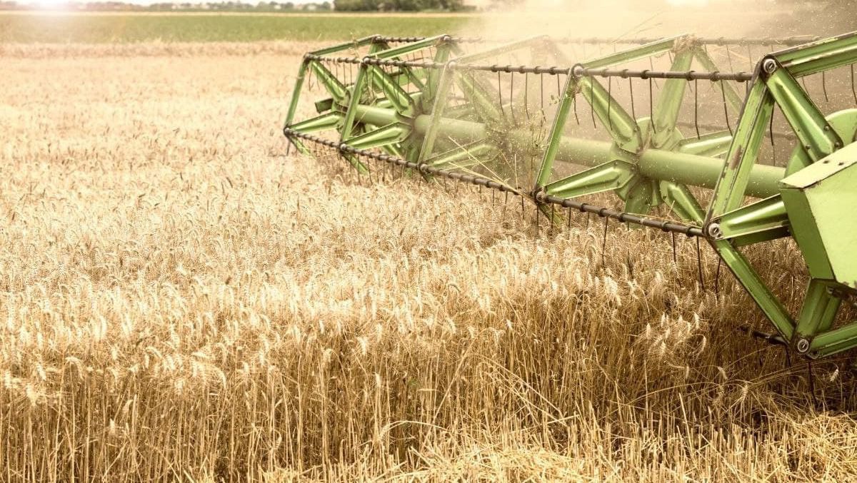 Рашисти намагалися продати вкрадене в Україні зерно Єгипту