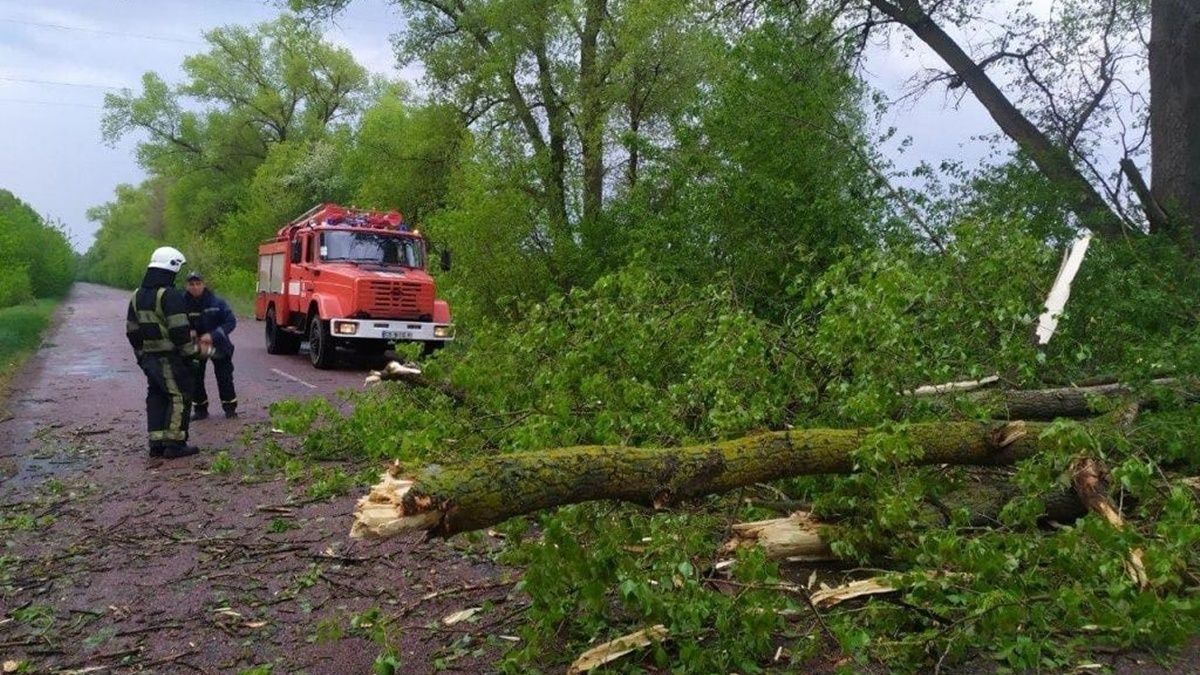 Черниговскую область накрыл сильный ураган: часть жителей осталась без света