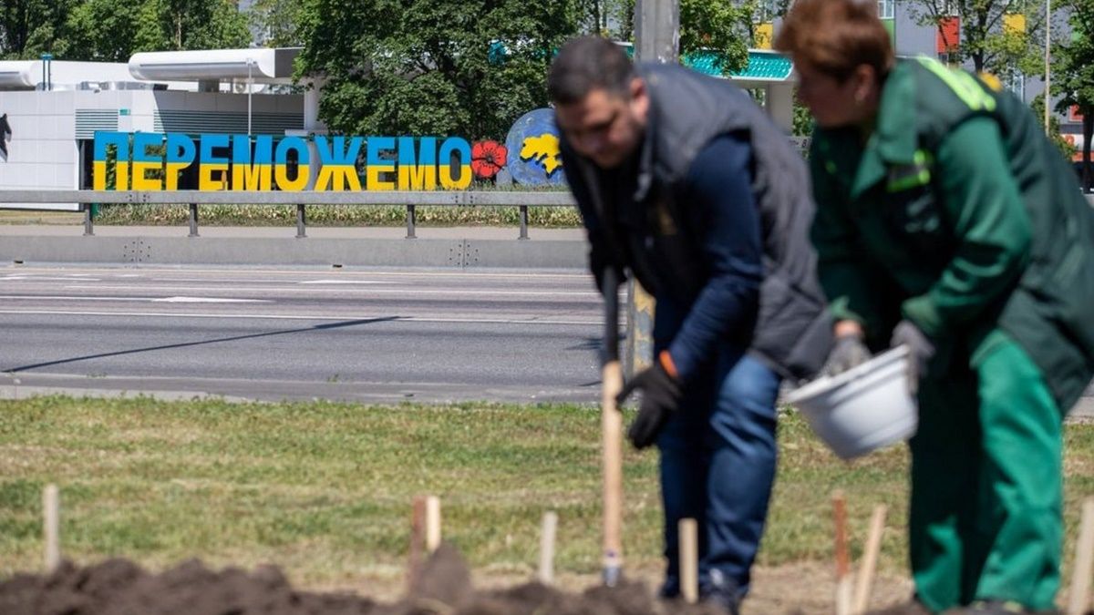 В Киеве высадили пять тысяч лилий