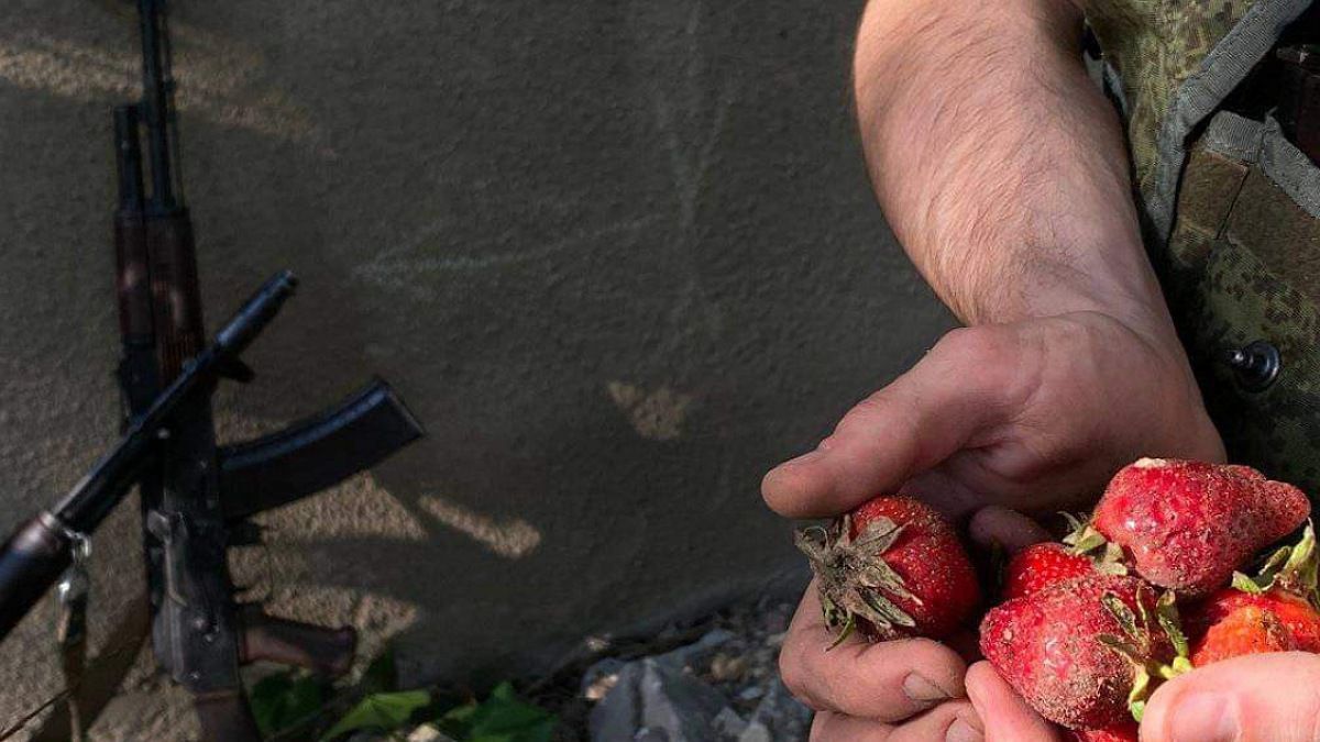 В Херсонской области оккупанты нанимаются к местным жителям собирать клубнику