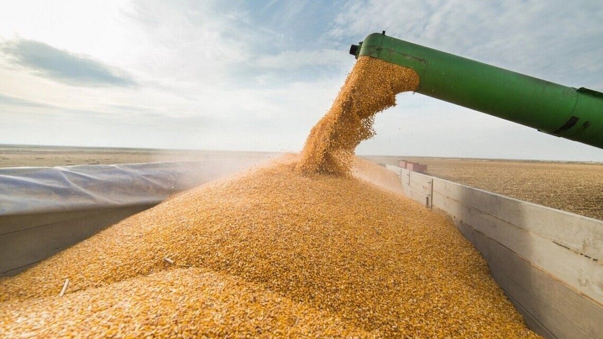 рф пытается продать украденное в Украине зерно странам Африки — New York Times