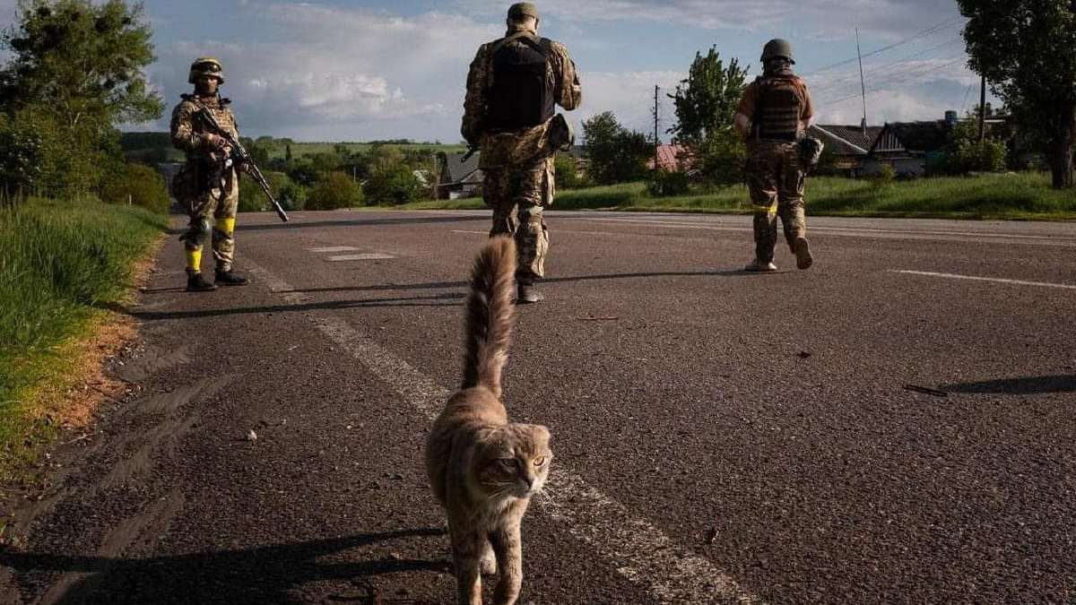 Кого освободят от уплаты военного сбора