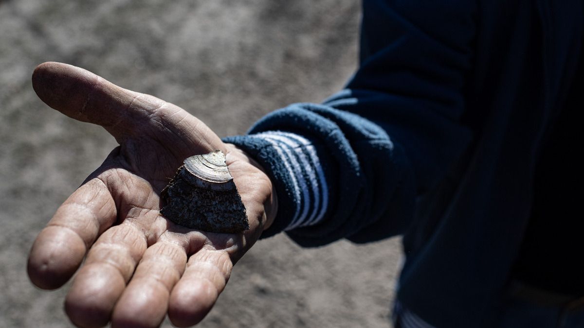 У Красногорівці снаряд влучив в один із будинків, де знаходилась родина: жінка загинула під завалами, дитину та батька врятували