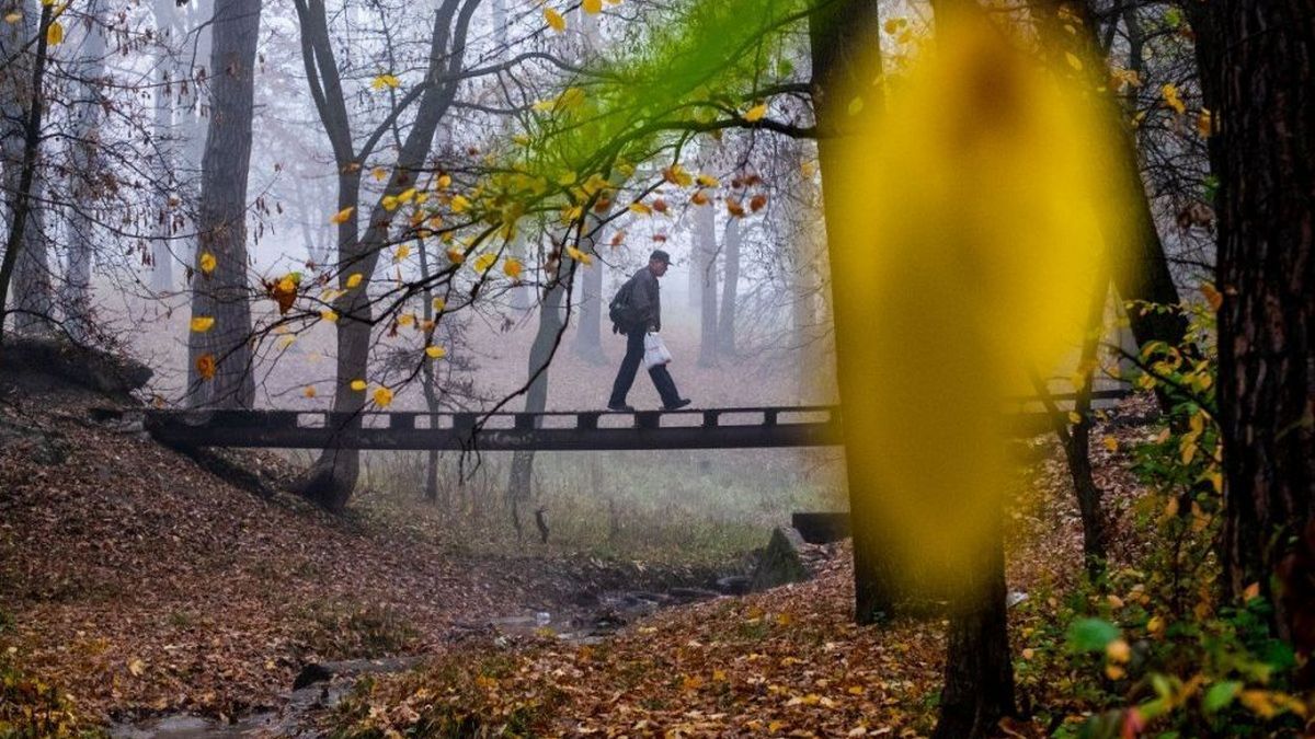 Чи варто завтра взяти парасольку? Прогноз погоди в Україні 11 листопада