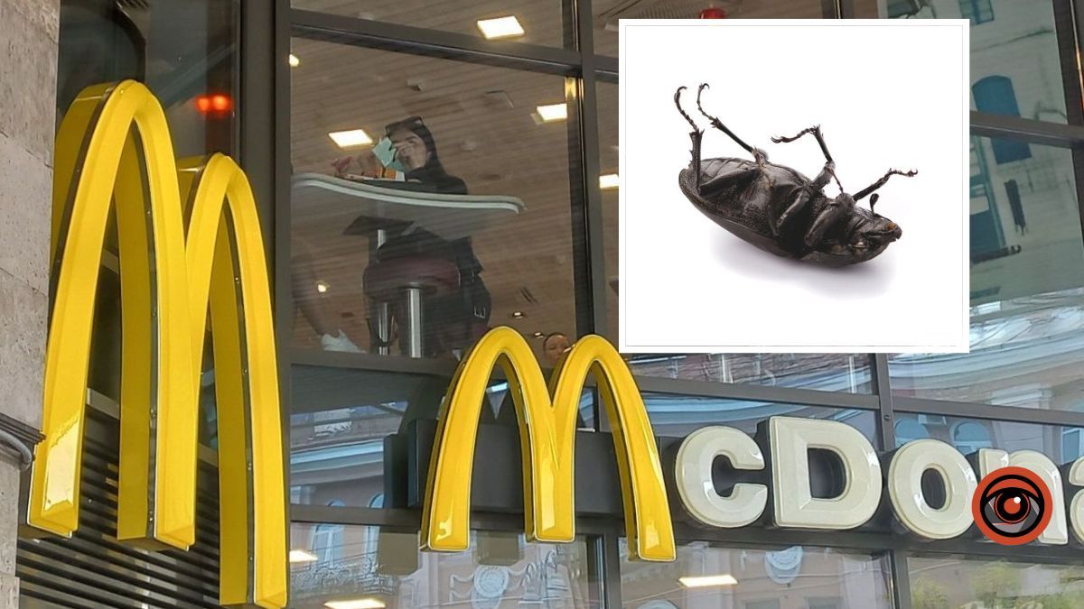 Жінка знайшла комаху в картопляних діпах у McDonald's: яке рішення прийняв суд щодо компенсації