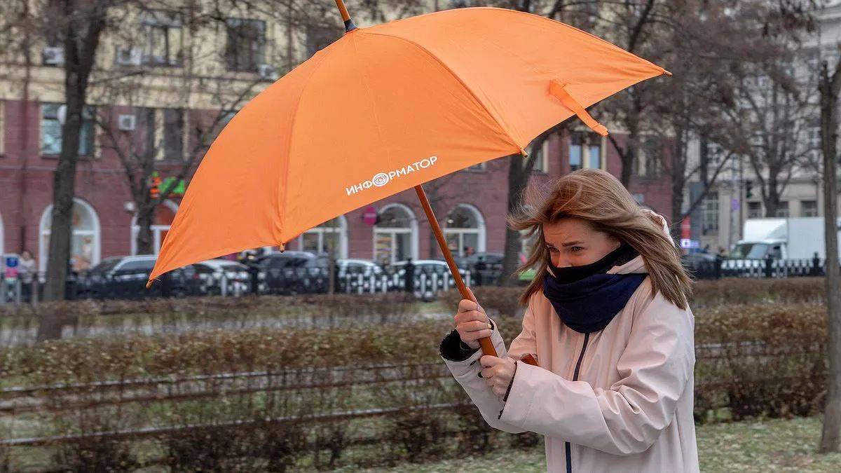 Киевлян предупредили о сильном штормовом ветре в столице