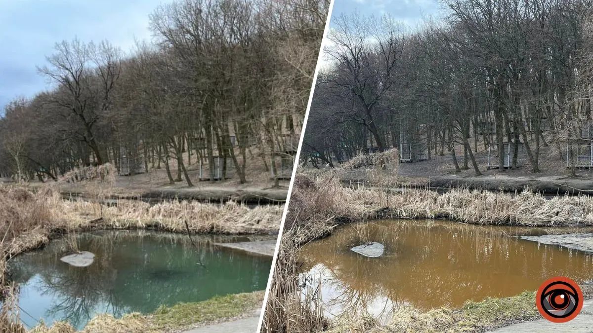 Ставок у парку змінює колір