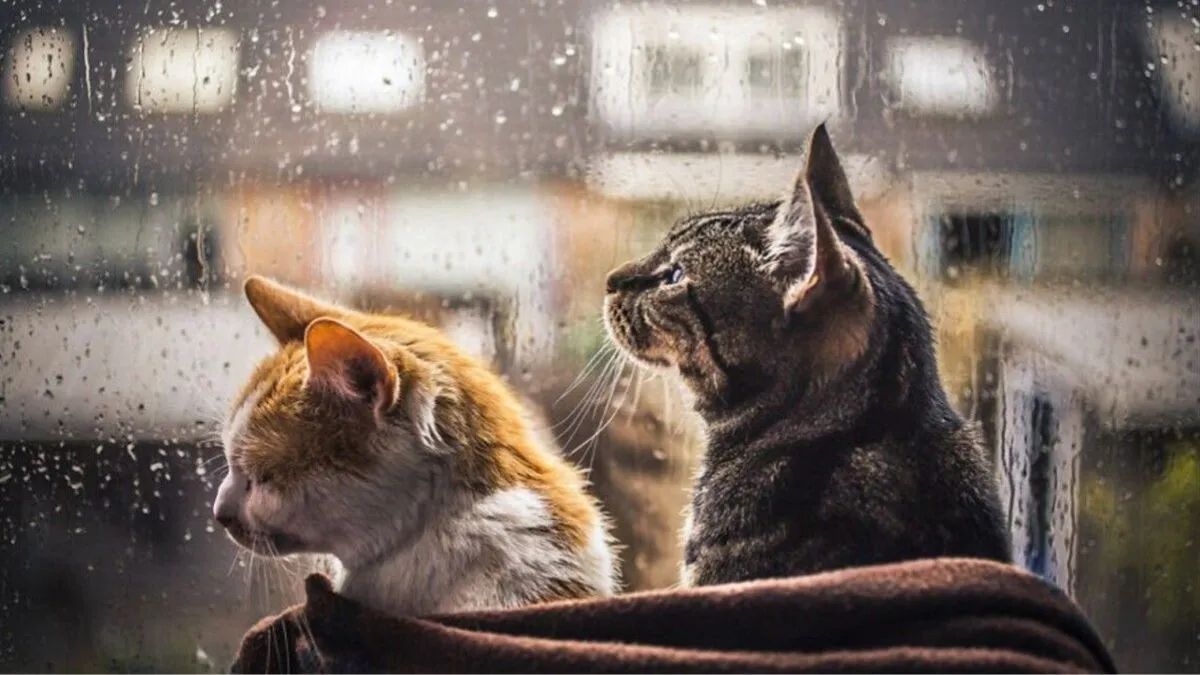 Погода 22 квітня