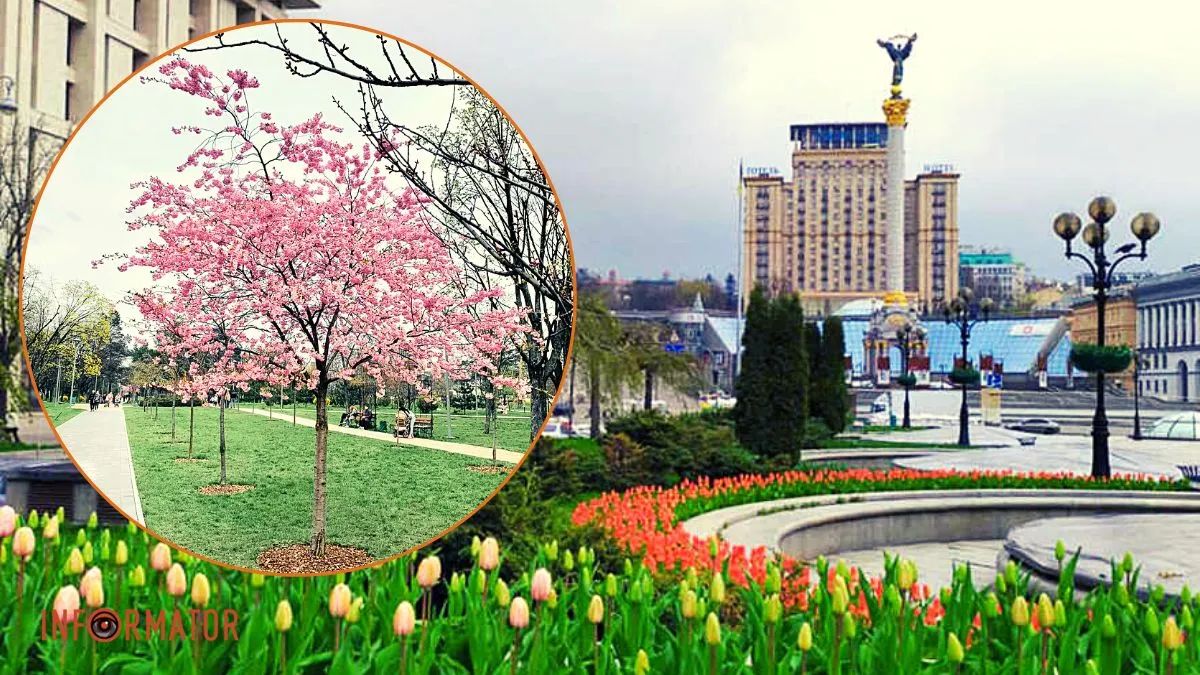 Погодна на 23 квітня 2023 року