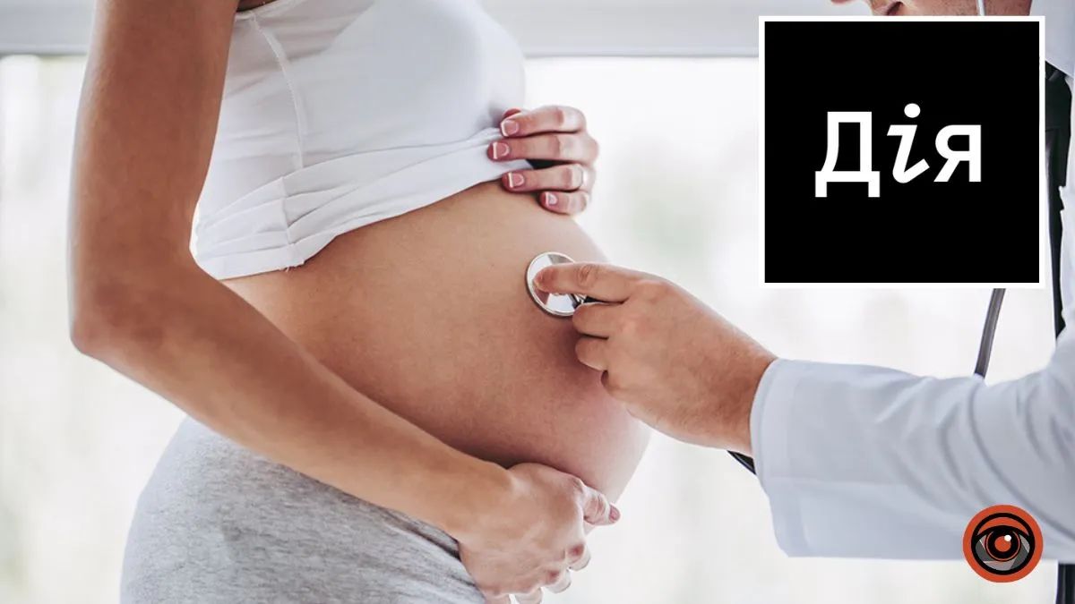 чатбот від Дії