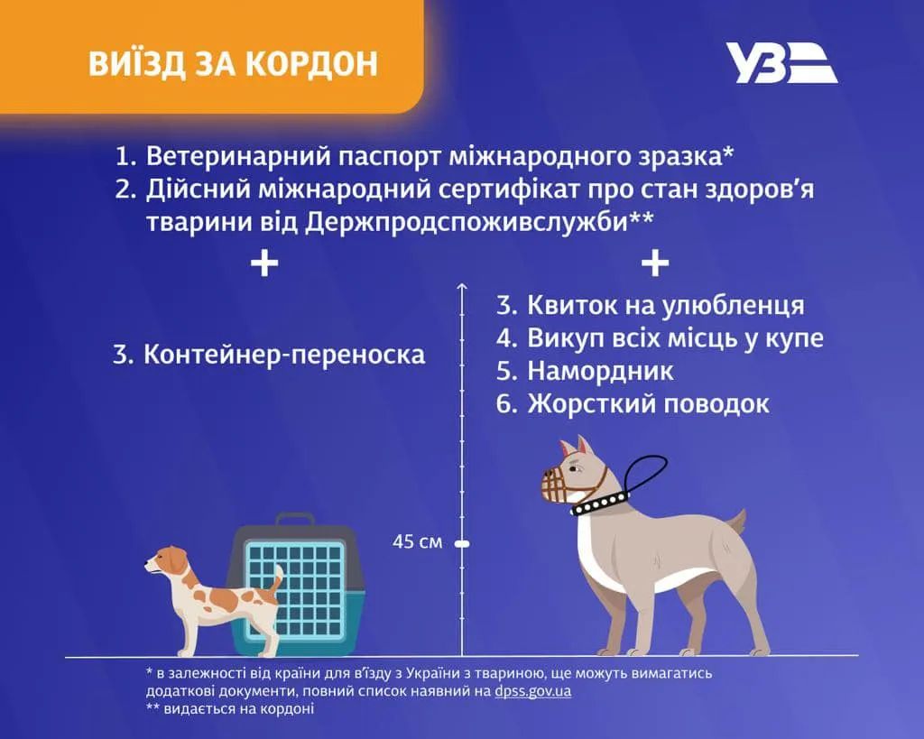 Як правильно подорожувати з домашніми улюбленцями по Україні та за кордон: пояснення від Укрзалізниці 2