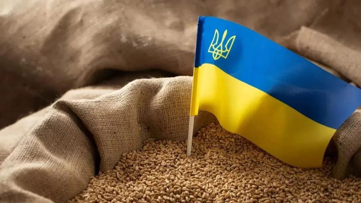 Зерно