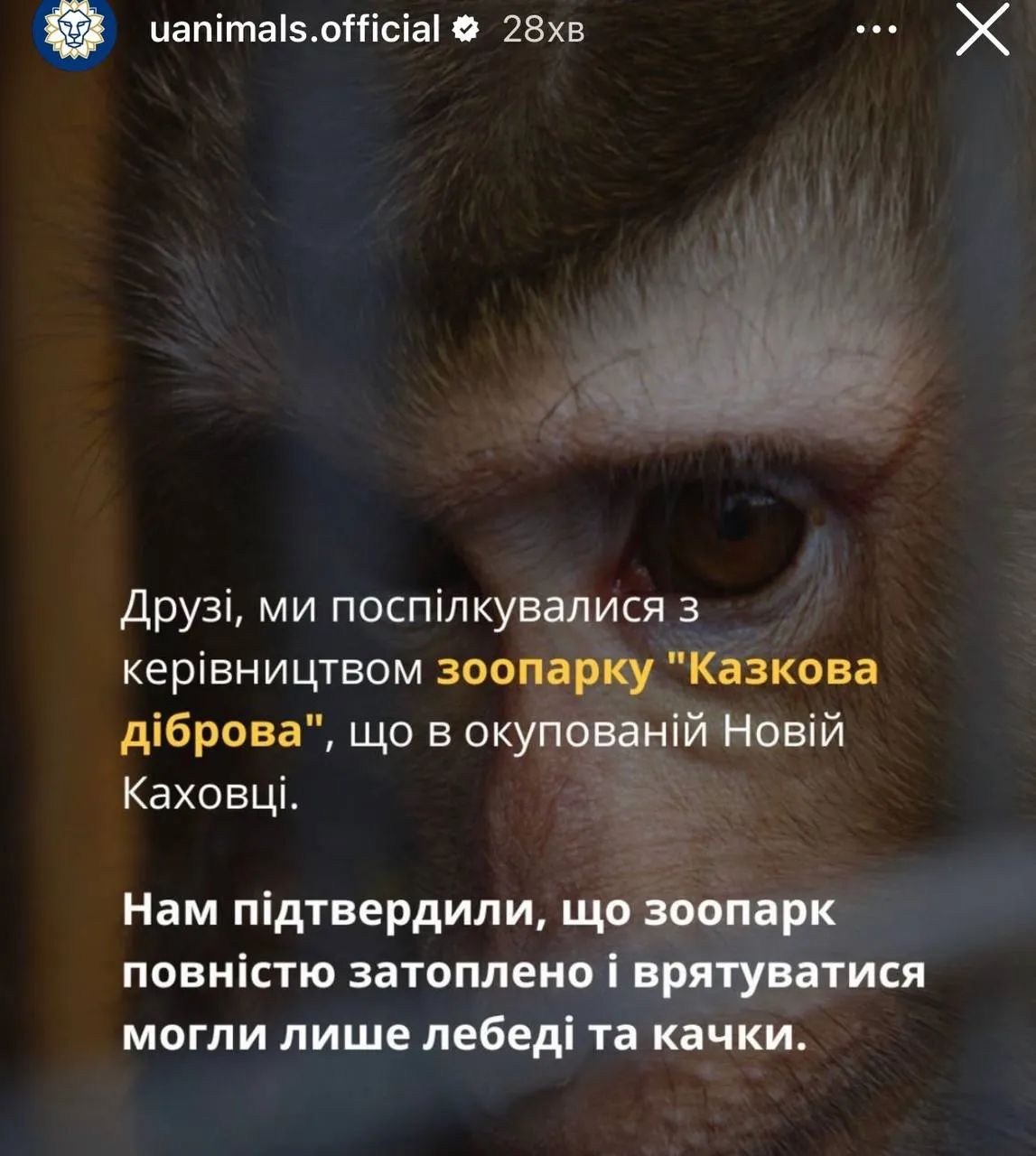 Повідомлення зоозахисної організації