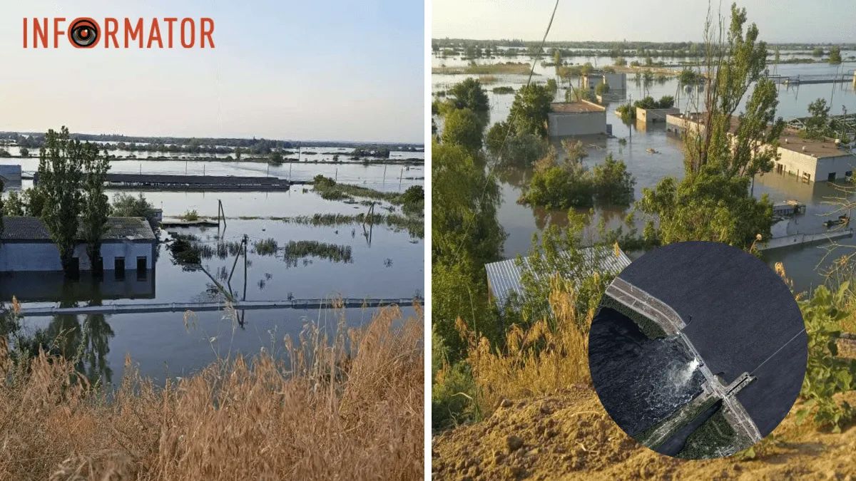 Єдиний державний осетровий завод