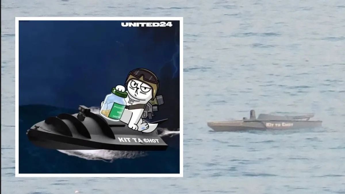 Беспилотник «Кот и Енот»