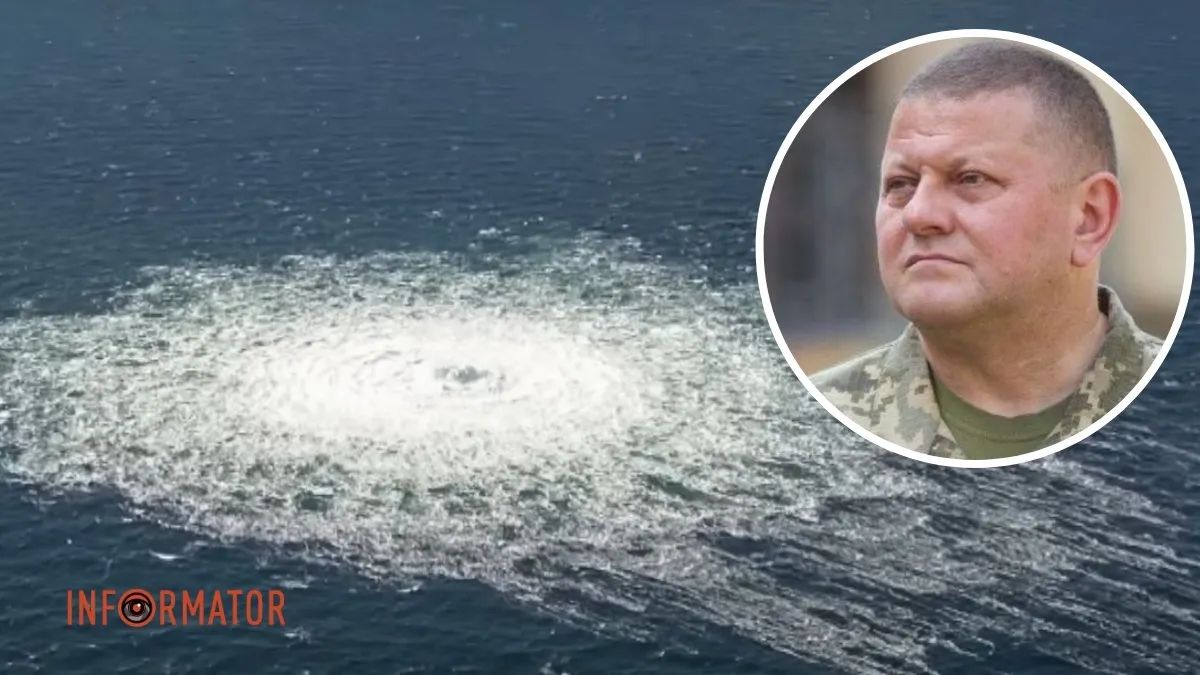 Залужный и море