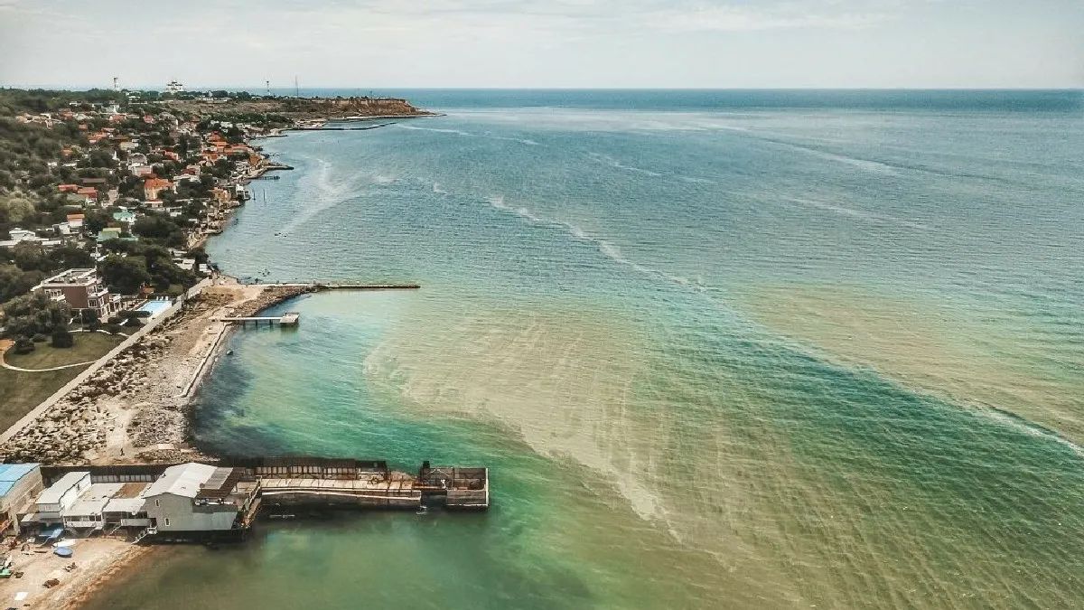 Вода у Чорному морі змінила колір