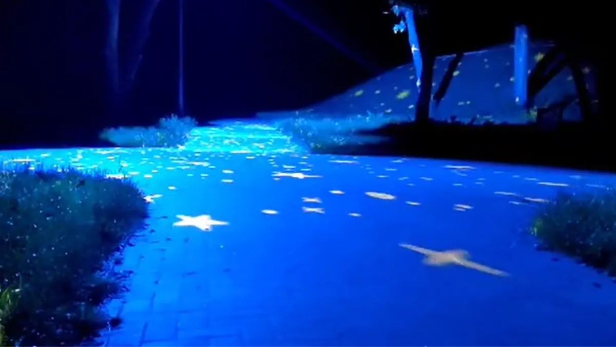 Підсвітка у парку Прибережний