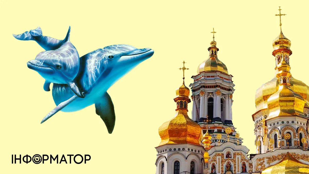 Всесвітній день китів і дельфінів та День пам’яті преподобного Антонія Києво-Печерського