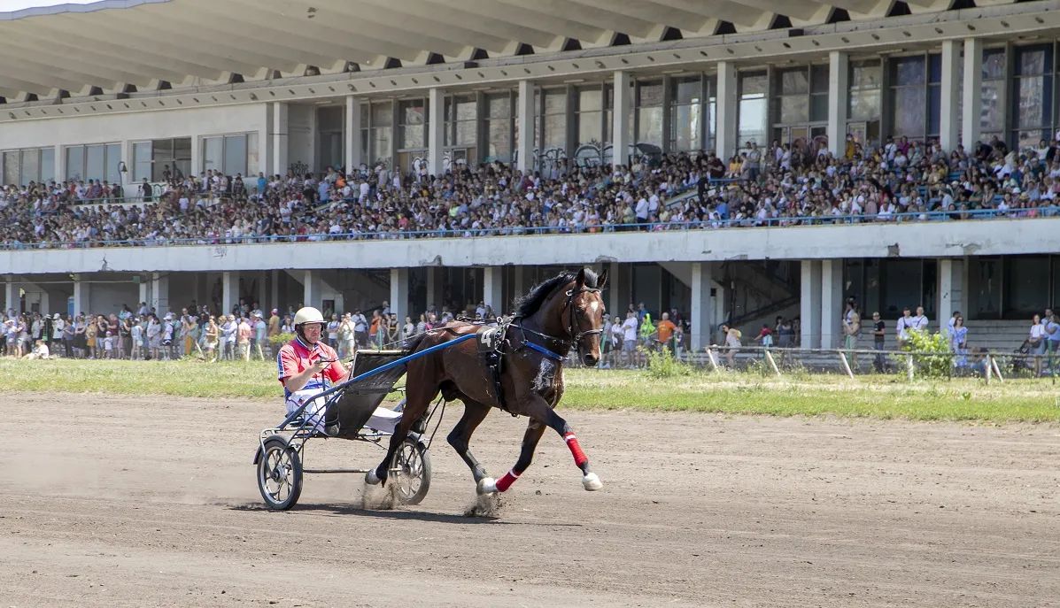 Змагання коней