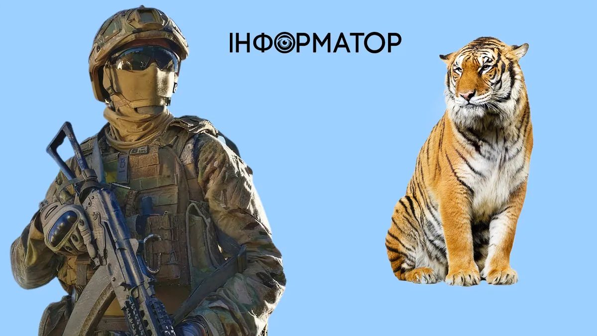 День Сил специальных операций ВСУ и Международный день тигра