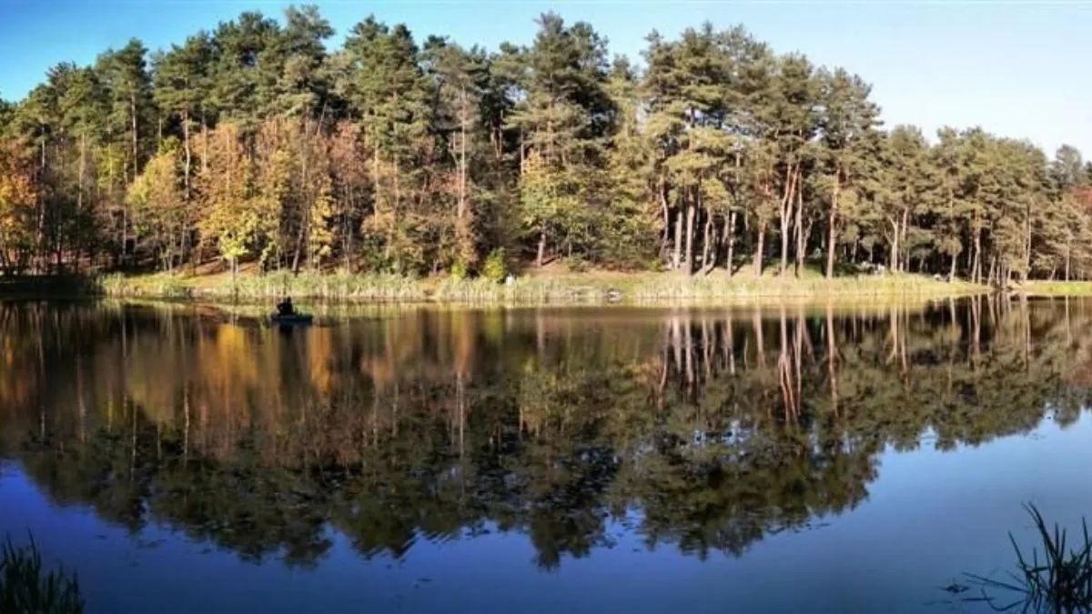 Голосеевский парк в Киеве