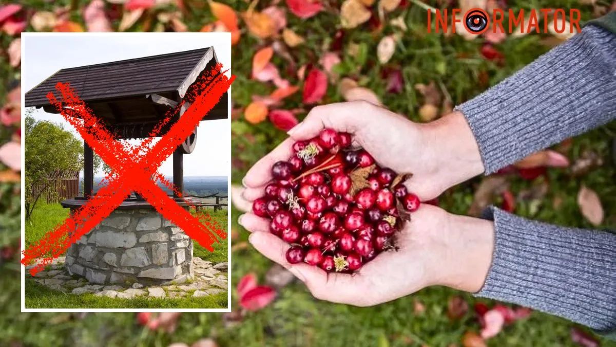 Колодец и клюква