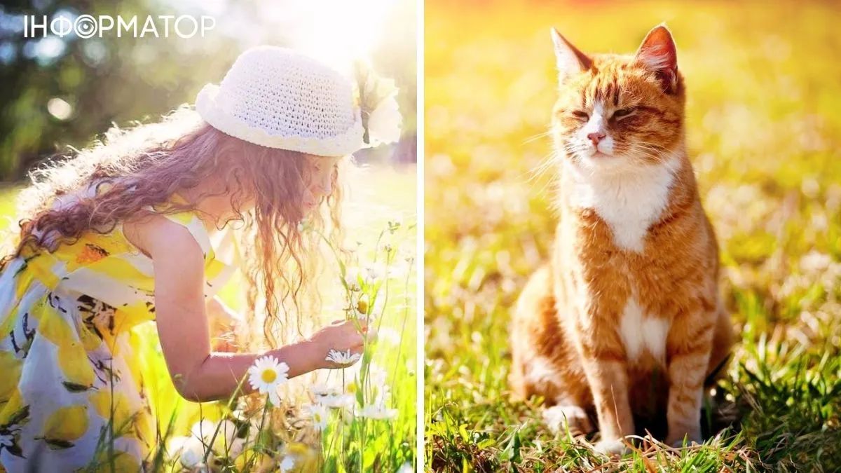 Девушка и кот