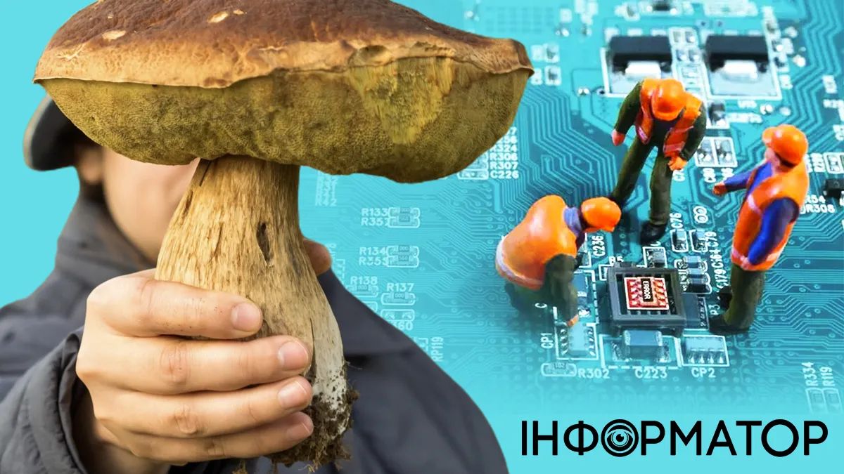 Какой сегодня, 3 октября, праздник - День технаря и День грибников