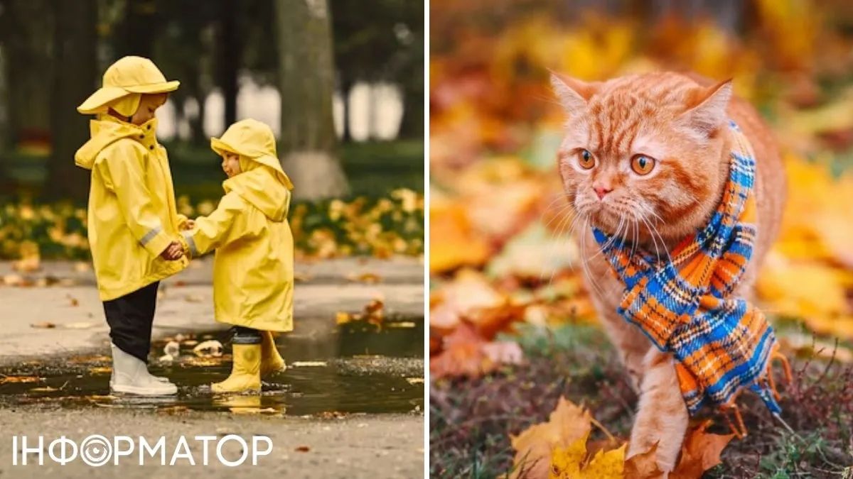 Діти та кіт
