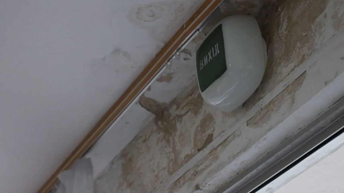 Пліснява над балконними дверима шпиталю