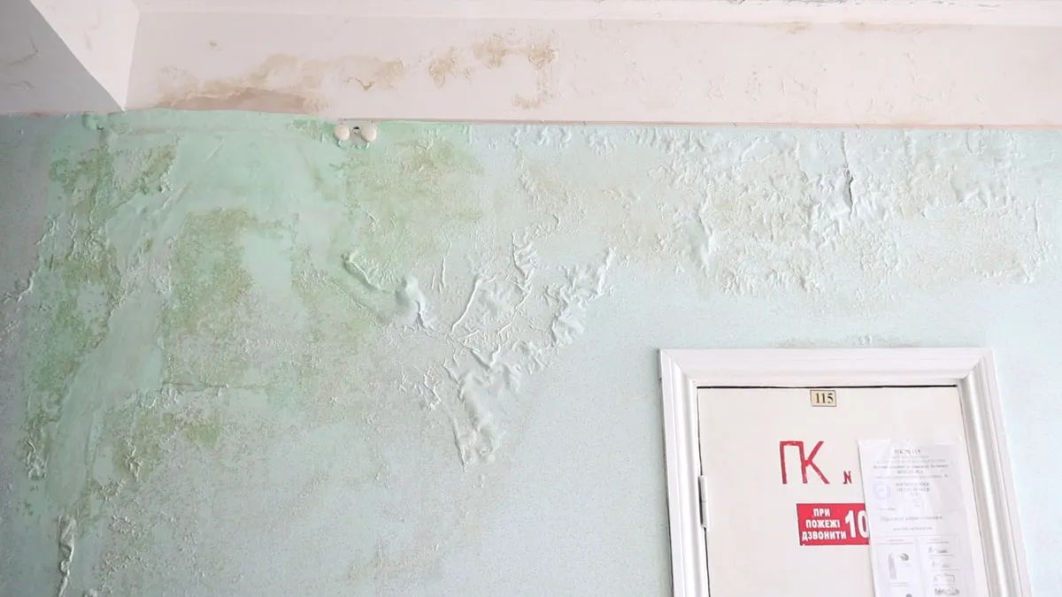Пліснява на стіні неврологічного відділення шпиталю