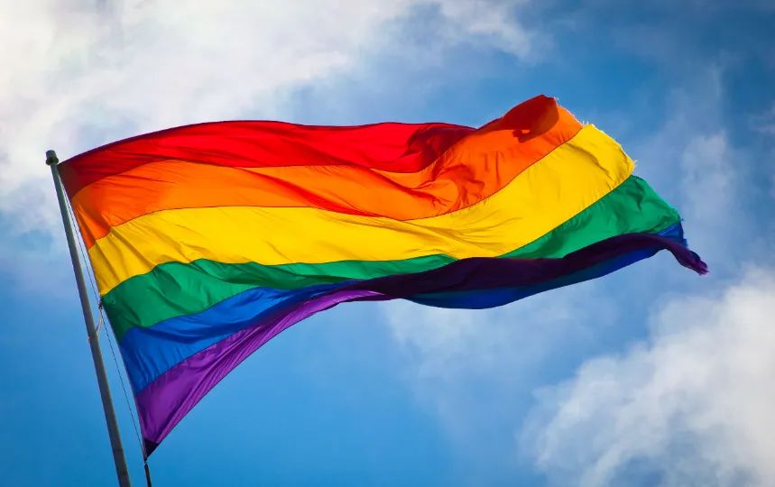 Хотя День каминг-аута первоначально был национальным событием только в США, сейчас он проводится и во многих других странах