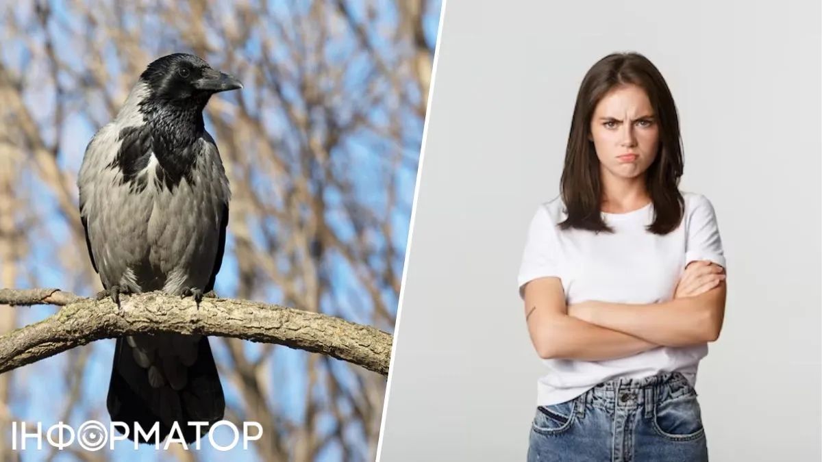 Ворона та дівчина
