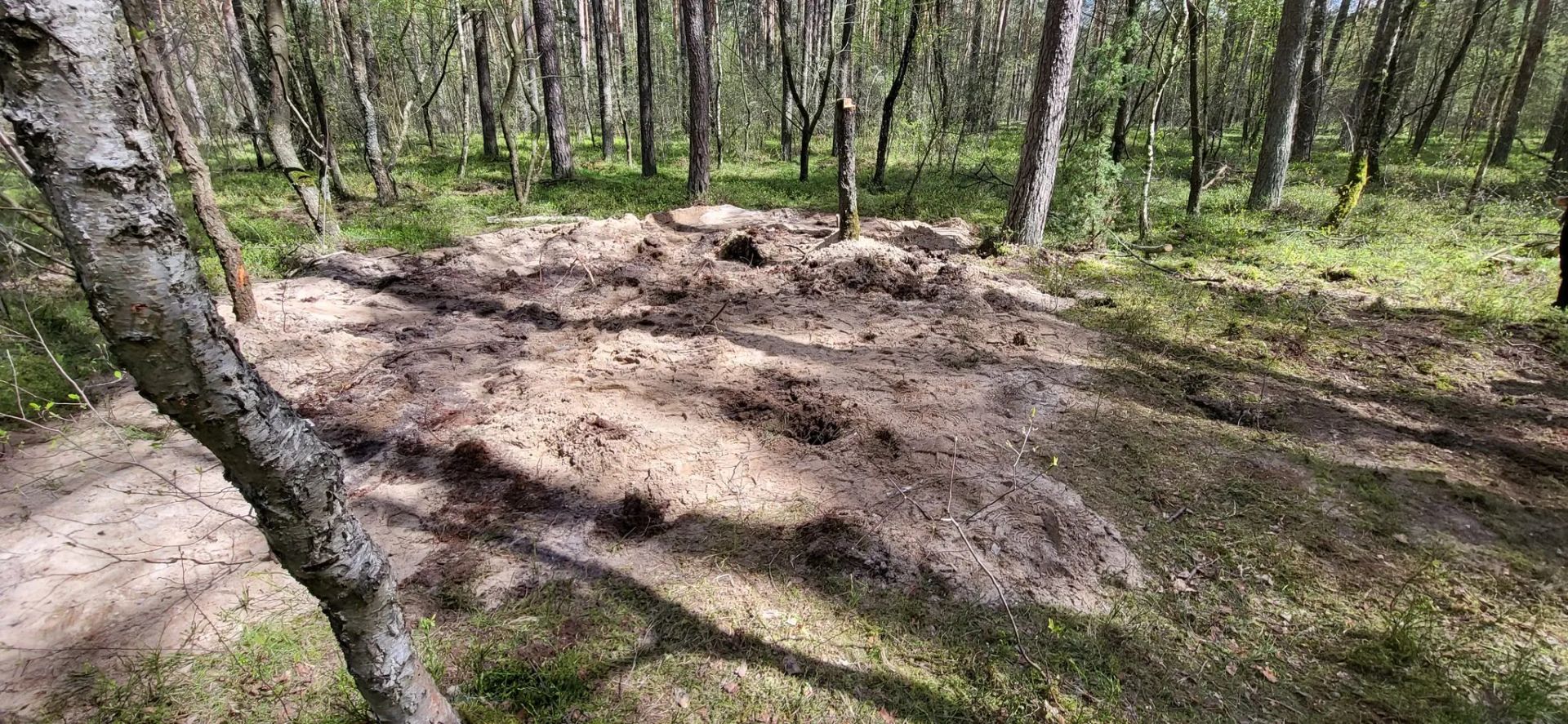 Город падения