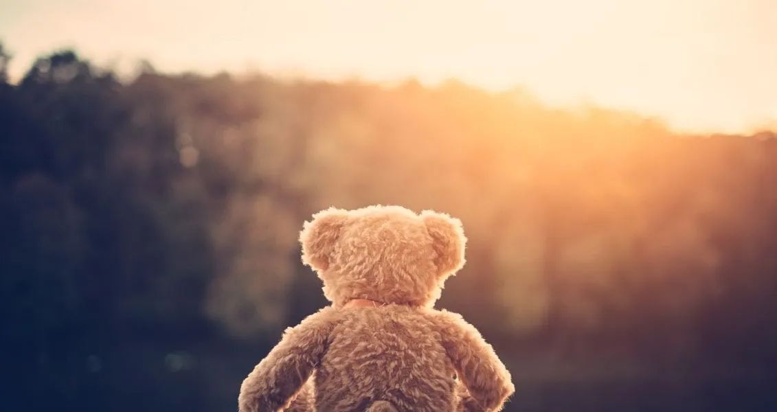 Спочатку у заходах взяли участь 20 американських штатів, а пізніше до ініціативи приєдналися інші штати та країни